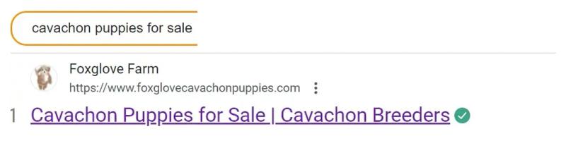 Google result 1: Foxglove Farm for cavachon puppies for sale