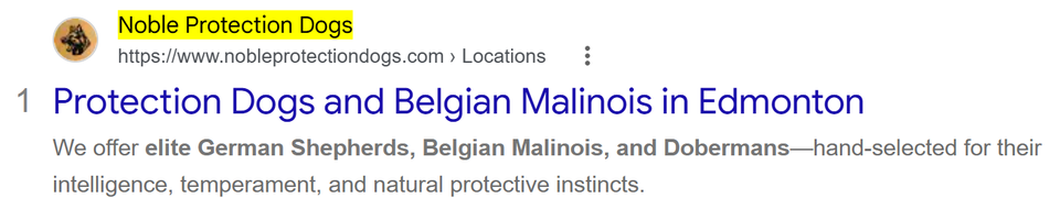 Google result 1 for executive protection dogs Edmonton: Noble Protection Dogs