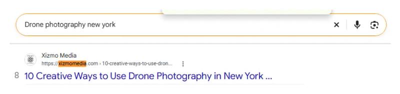 Google result 8: Xizmo Media for Drone photography new york