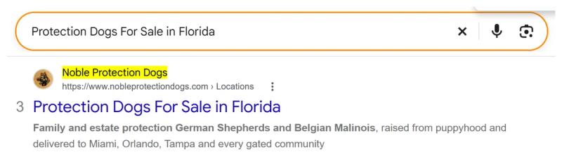 Google result 3: Noble Protection Dogs for Protection dogs for sale in Florida